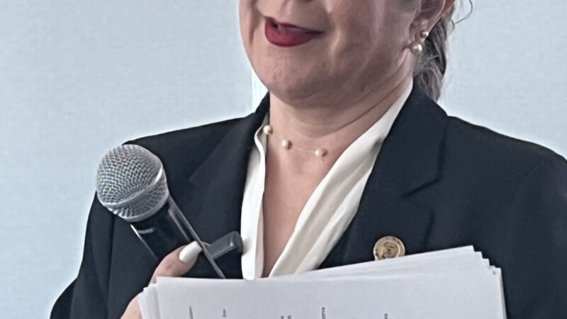 Votó María Pérez de Morena a favor de la deuda de Chihuahua: Rosana Díaz