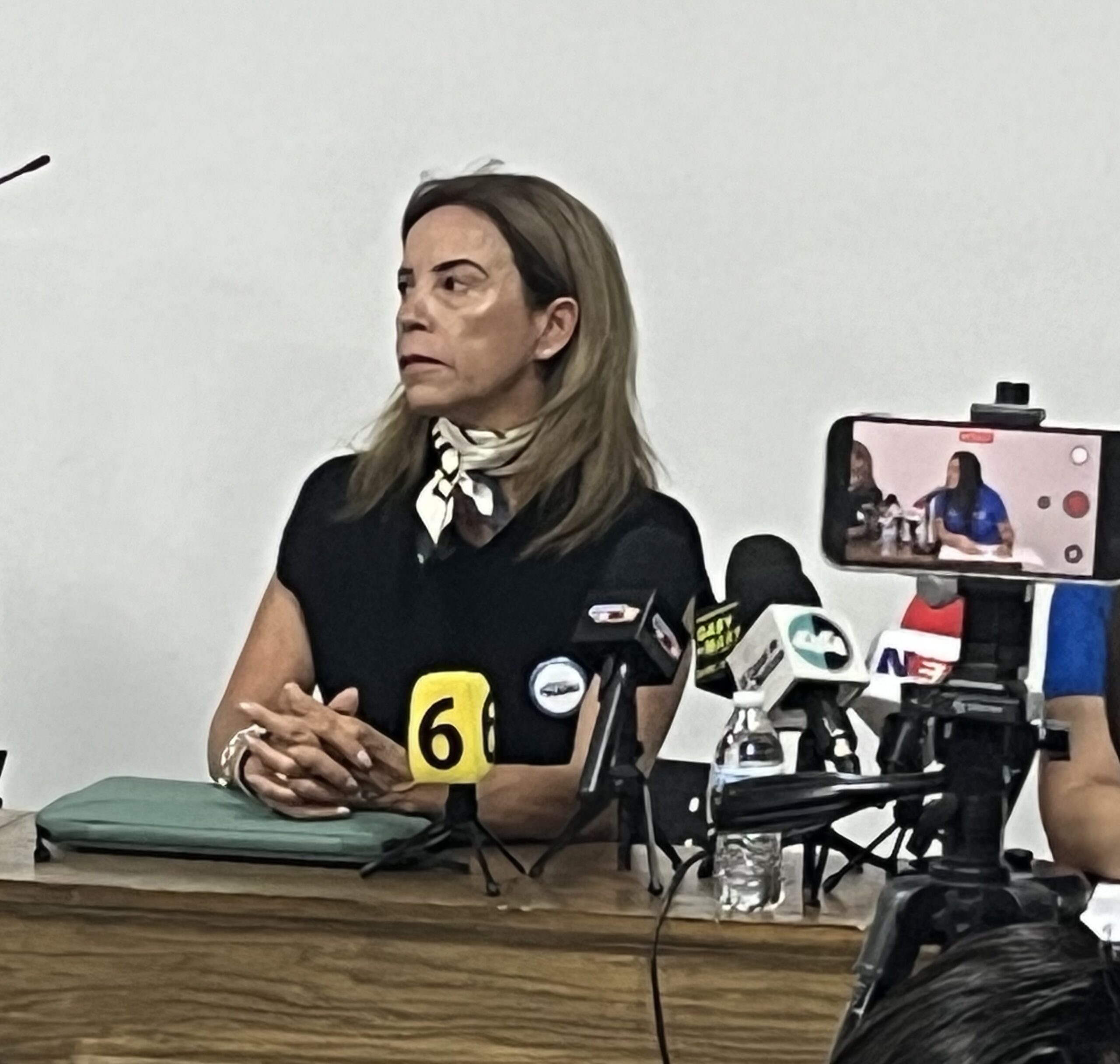 Incertidumbre en inversión extranjera es responsabilidad de Morena: PAN por revisiones anuales al TMEC