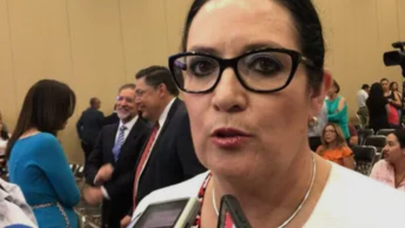 Secuestro de espacios principal error de partidos políticos: Paty Terrazas