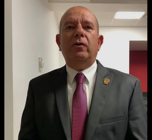 Candidato saldrá del resultado de la encuesta, PT y Verde están en su derecho de preferir a Cruz o Andrea: Estrada
