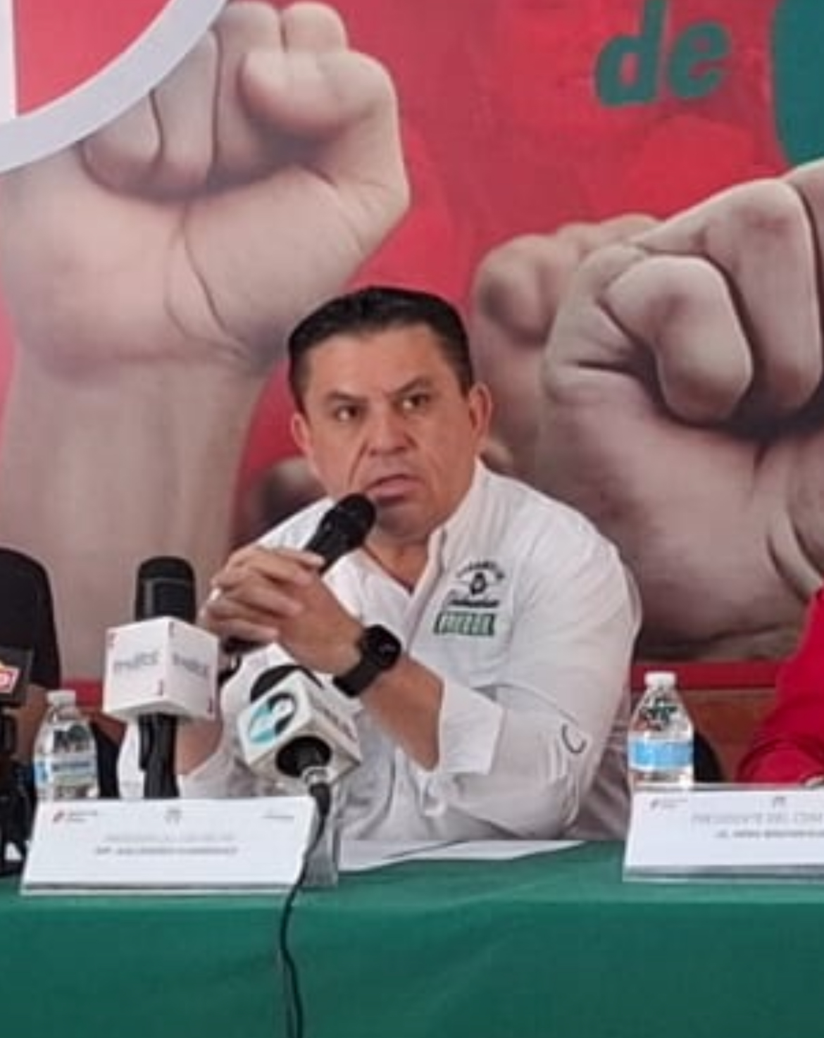 Sobrerepresenta las cámaras y ahora se va: PRI a magistrada Monica Soto