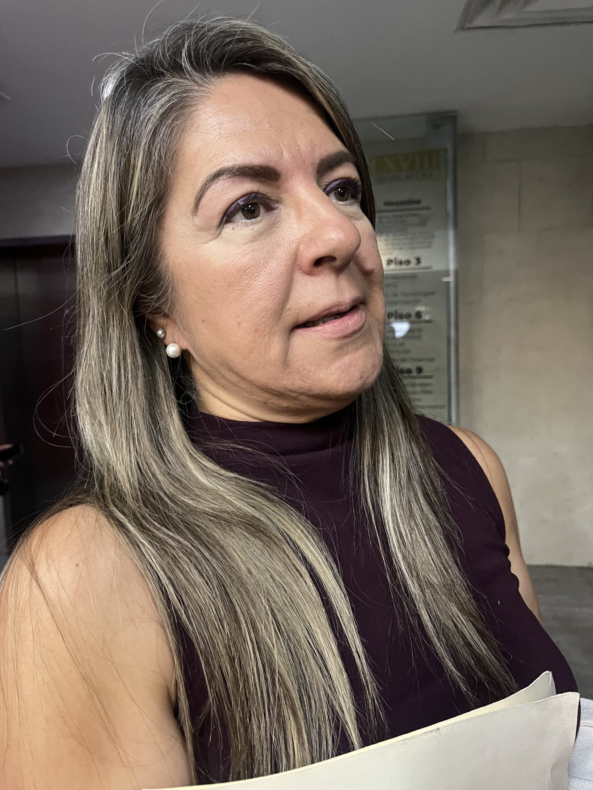 Sin definir voto para el préstamo de 150 mdp: Rosana Díaz