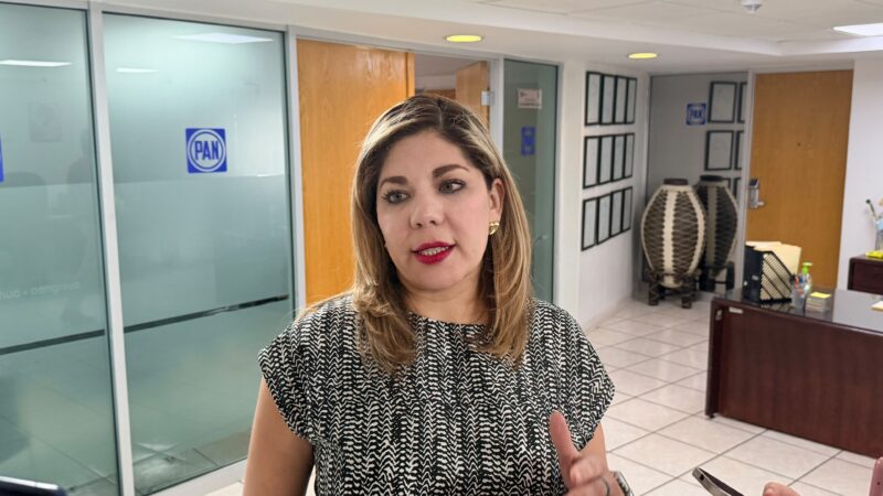 Seguridad y el campo, prioridad para la gobernadora: PAN