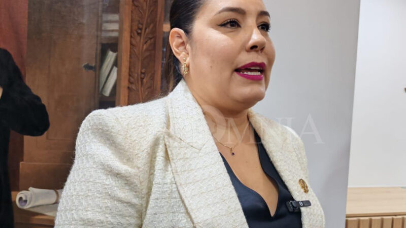 Fue mejor que no fuera al informe y siguiera su agenda aquí: Joss a Morena