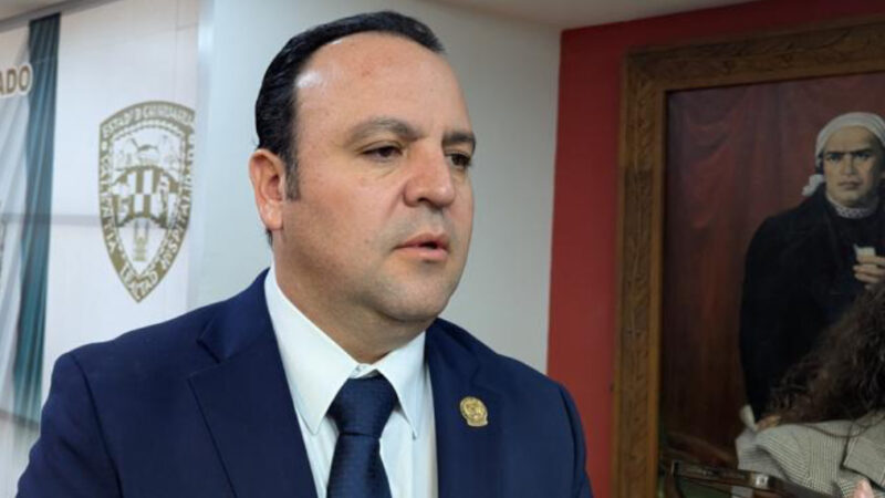 No sé el motivo real de la salida de Cata Espino del INE: Ramírez