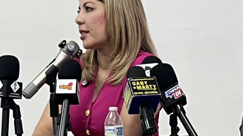 Estarán listos los candidatos a las alcaldías antes de que concluya el año: PAN