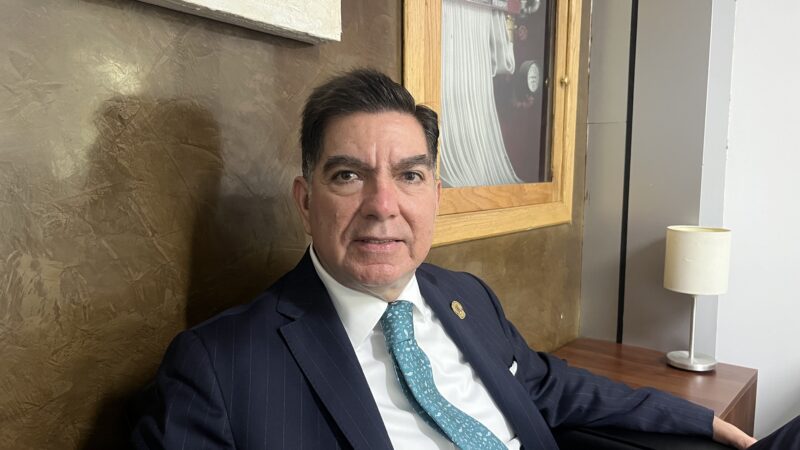 Votar a favor o no fiscalía autónoma dependerá de la instrucción del nacional: Borunda
