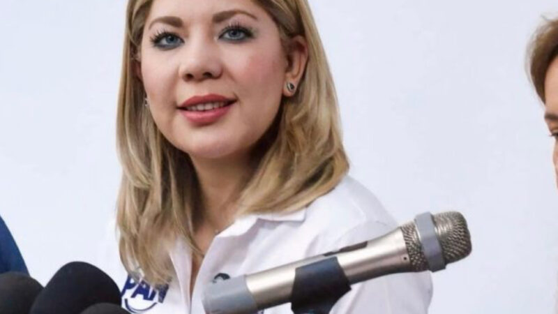 Ningún proyecto personal va por encima del PAN, candidaturas tendrán que esperar: Daniela a Santiago
